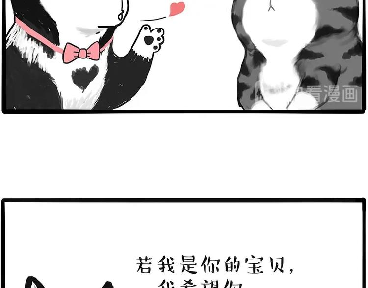 🍘吾皇巴扎黑 第197话 猫怼狗 第39页