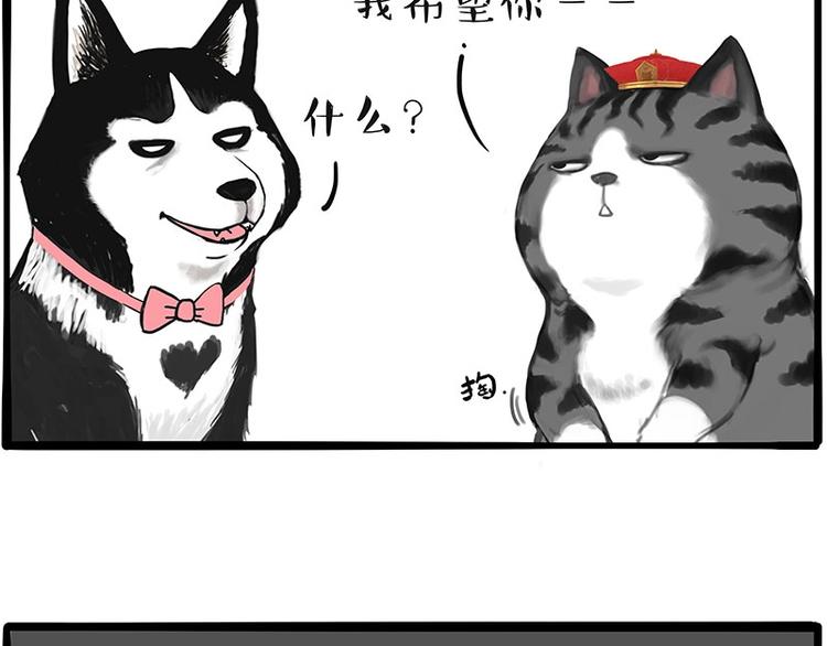 🍘吾皇巴扎黑 第197话 猫怼狗 第40页