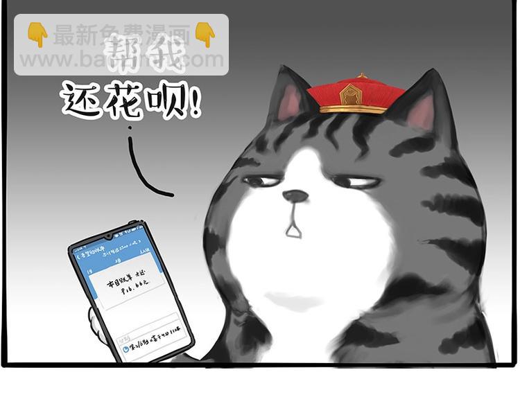 🍘吾皇巴扎黑 第197话 猫怼狗 第41页