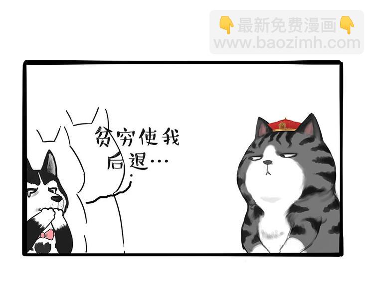 🍘吾皇巴扎黑 第197话 猫怼狗 第42页