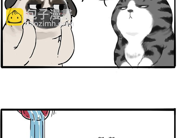 🍘吾皇巴扎黑 第197话 猫怼狗 第44页