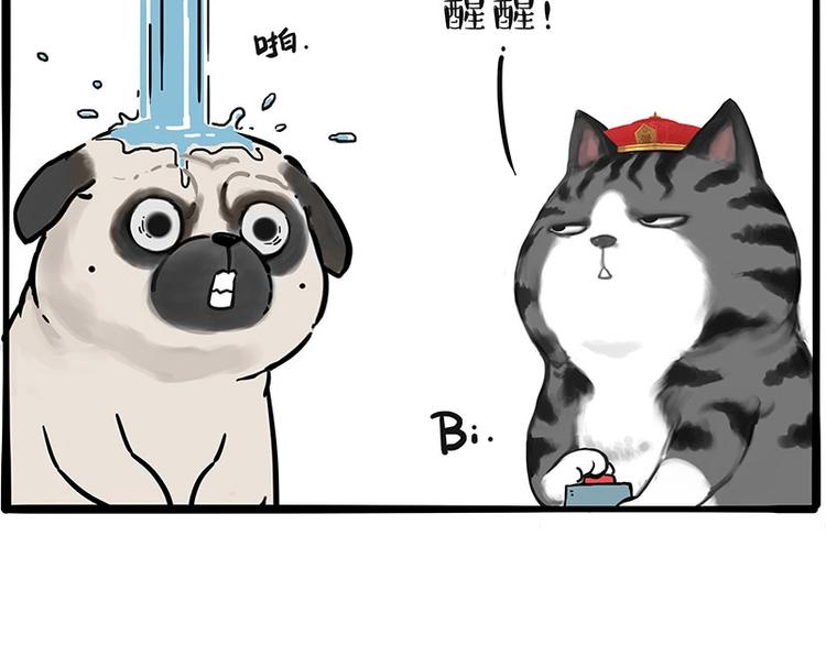 🍘吾皇巴扎黑 第197话 猫怼狗 第45页