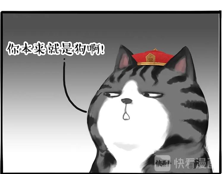 🍘吾皇巴扎黑 第197话 猫怼狗 第46页