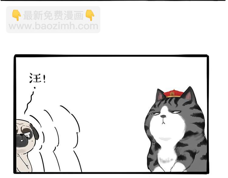 🍘吾皇巴扎黑 第197话 猫怼狗 第47页