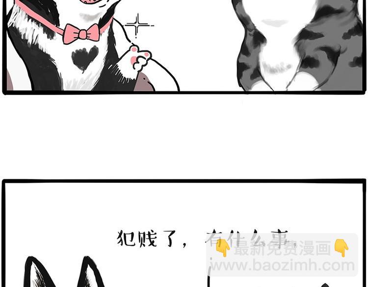 🍘吾皇巴扎黑 第197话 猫怼狗 第50页