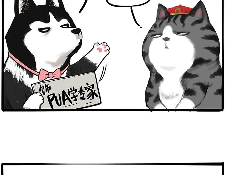 🍘吾皇巴扎黑 第197话 猫怼狗 第7页