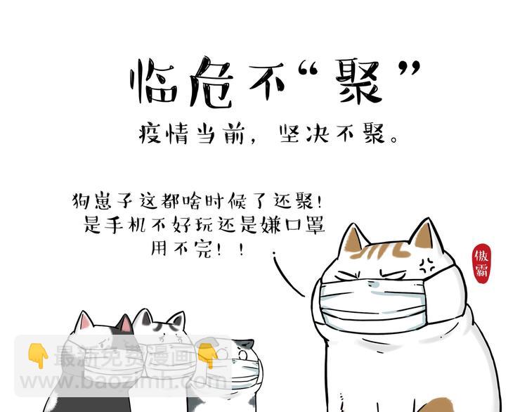 🍘吾皇巴扎黑 第199话 防疫特别篇 第12页