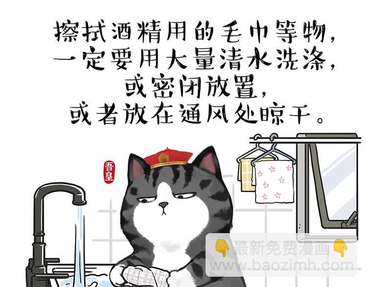 🍘吾皇巴扎黑 第199话 防疫特别篇 第31页