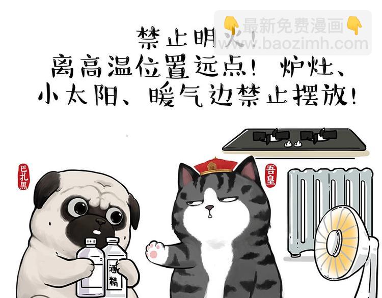 🍘吾皇巴扎黑 第199话 防疫特别篇 第33页
