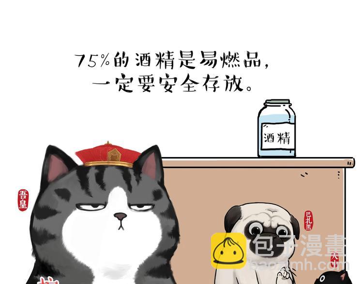 🍘吾皇巴扎黑 第199话 防疫特别篇 第37页