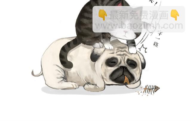 🍘吾皇巴扎黑 第3话 猪一样的狗队友 第12页