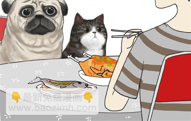🍘吾皇巴扎黑 第3话 猪一样的狗队友 第2页