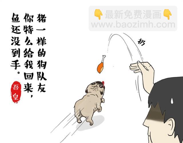 🍘吾皇巴扎黑 第3话 猪一样的狗队友 第3页