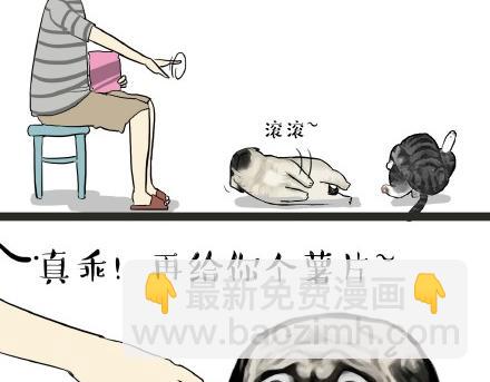 🍘吾皇巴扎黑 第21话 巴扎黑不是我亲生的！ 第4页