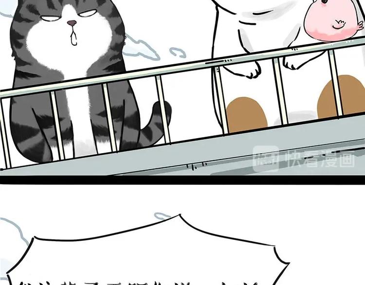🍘吾皇巴扎黑 第201话 傲霸？全职奶爸… 第36页