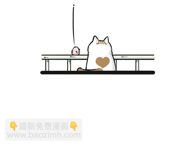 🍘吾皇巴扎黑 第201话 傲霸？全职奶爸… 第42页