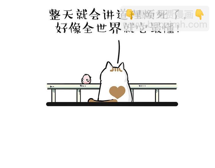 🍘吾皇巴扎黑 第201话 傲霸？全职奶爸… 第43页
