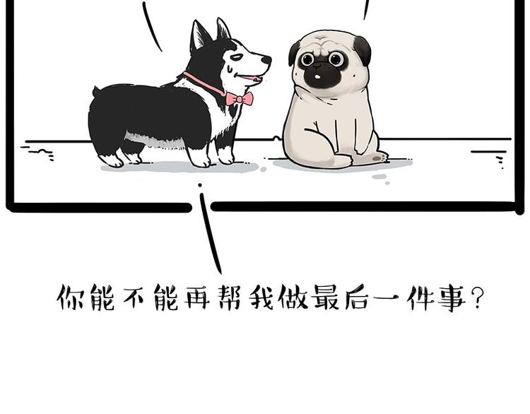 🍘吾皇巴扎黑 第203话 宅家不如挨顿打！ 第15页