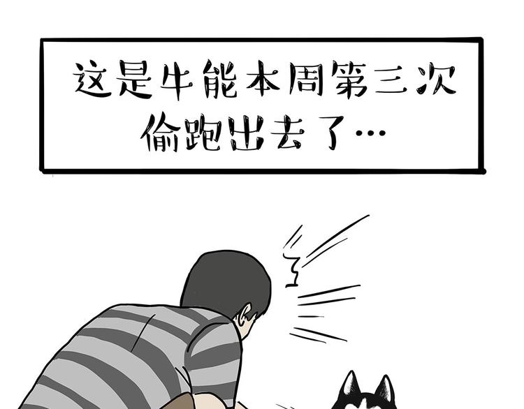 🍘吾皇巴扎黑 第203话 宅家不如挨顿打！ 第35页