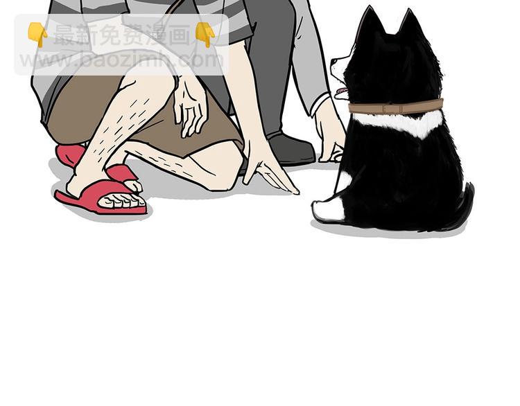 🍘吾皇巴扎黑 第203话 宅家不如挨顿打！ 第43页