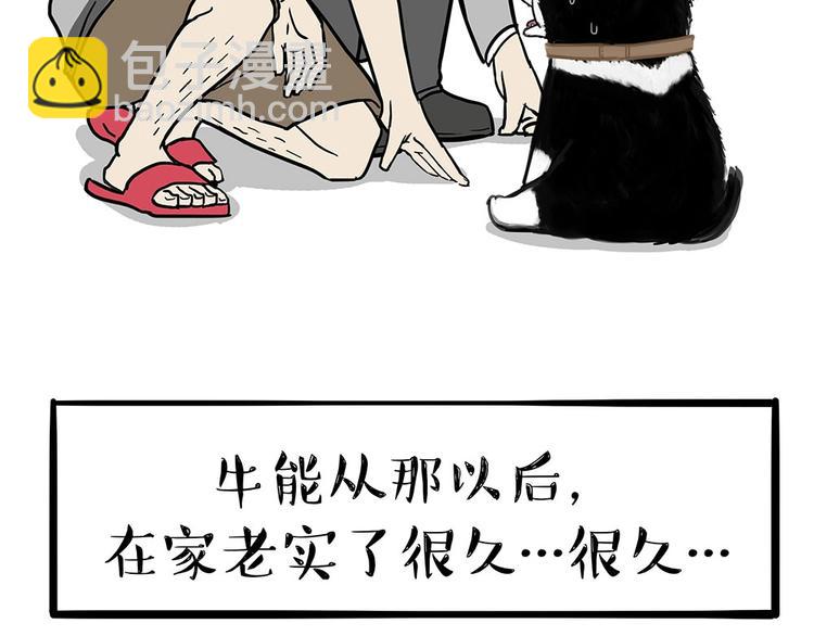 🍘吾皇巴扎黑 第203话 宅家不如挨顿打！ 第45页