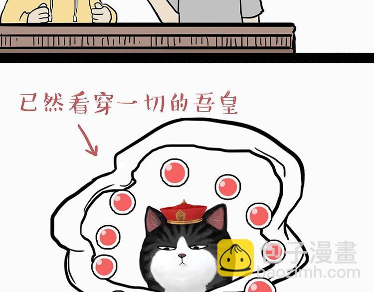 🍘吾皇巴扎黑 第205话 一切都是猫的安排 第38页