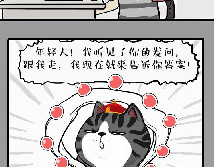🍘吾皇巴扎黑 第205话 一切都是猫的安排 第6页