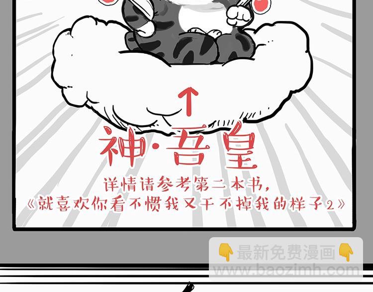 🍘吾皇巴扎黑 第205话 一切都是猫的安排 第7页