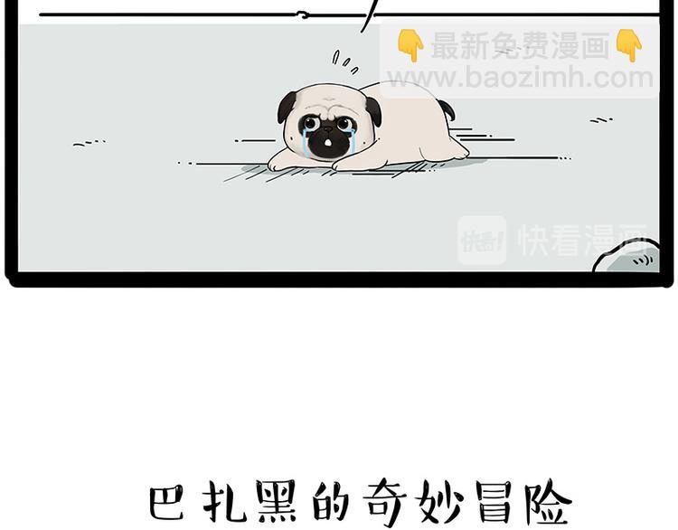 🍘吾皇巴扎黑 第207话 巴扎黑丢了？！ 第10页