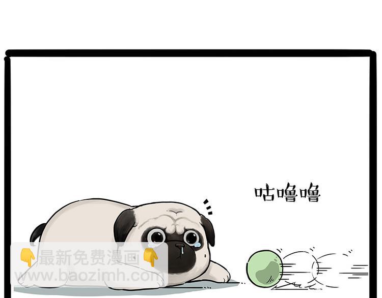 🍘吾皇巴扎黑 第207话 巴扎黑丢了？！ 第12页