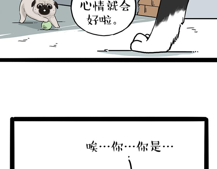 🍘吾皇巴扎黑 第207话 巴扎黑丢了？！ 第14页