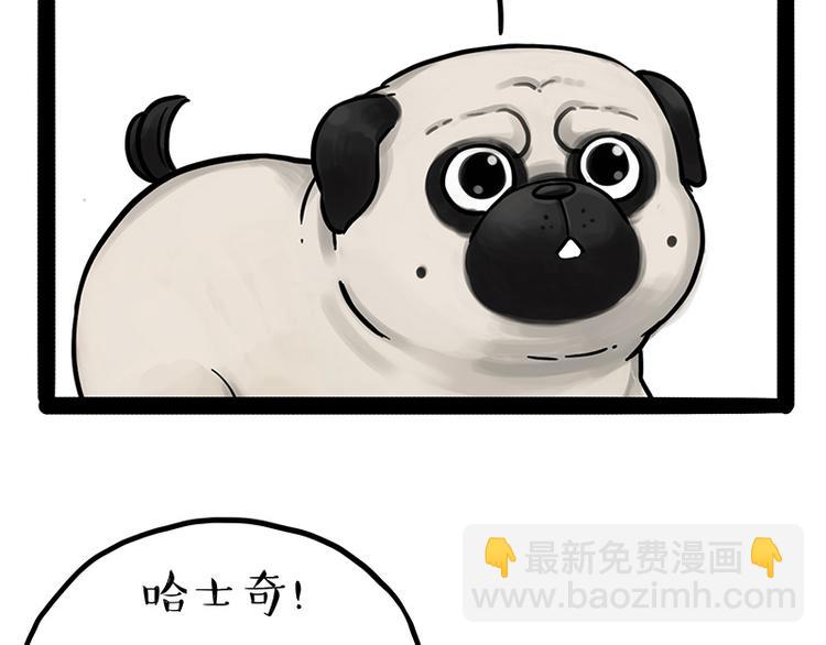 🍘吾皇巴扎黑 第207话 巴扎黑丢了？！ 第15页