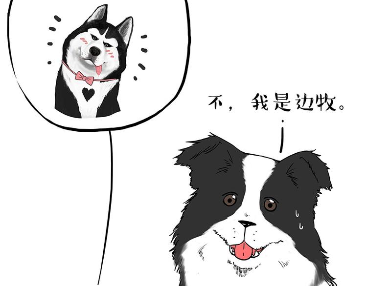 🍘吾皇巴扎黑 第207话 巴扎黑丢了？！ 第16页