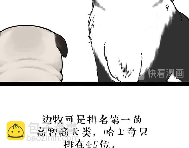 🍘吾皇巴扎黑 第207话 巴扎黑丢了？！ 第17页