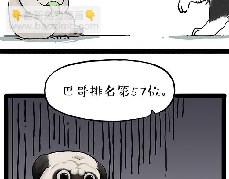 🍘吾皇巴扎黑 第207话 巴扎黑丢了？！ 第19页