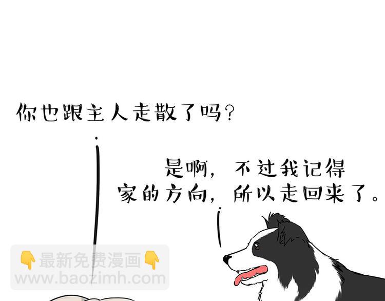 🍘吾皇巴扎黑 第207话 巴扎黑丢了？！ 第21页