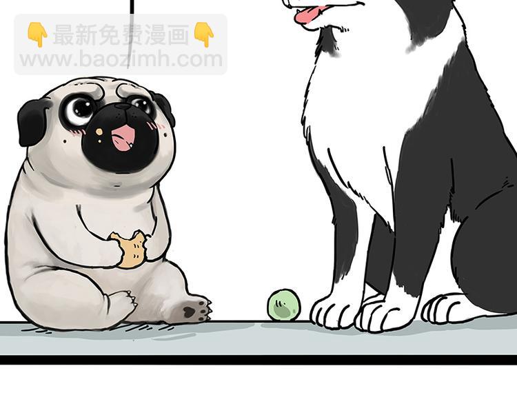 🍘吾皇巴扎黑 第207话 巴扎黑丢了？！ 第26页