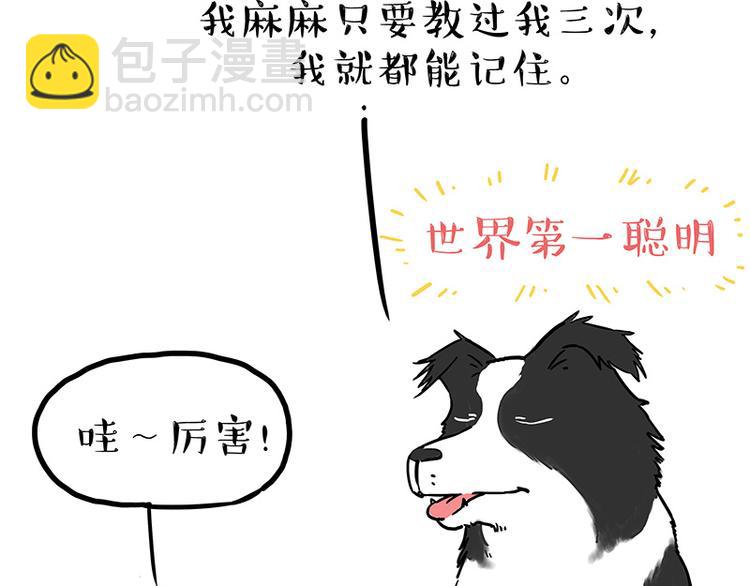 🍘吾皇巴扎黑 第207话 巴扎黑丢了？！ 第29页