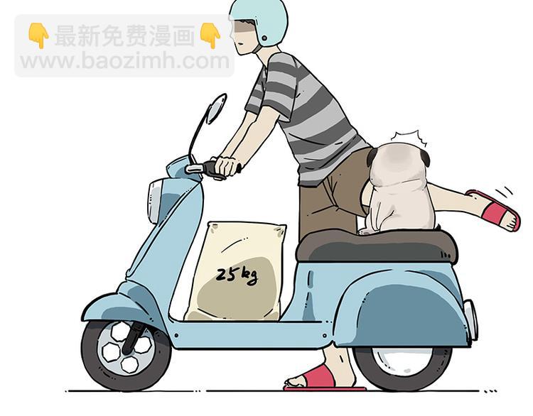 🍘吾皇巴扎黑 第207话 巴扎黑丢了？！ 第3页