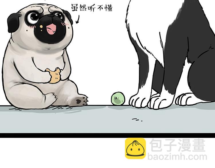 🍘吾皇巴扎黑 第207话 巴扎黑丢了？！ 第30页