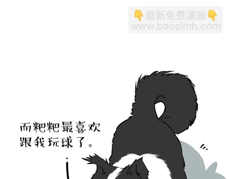 🍘吾皇巴扎黑 第207话 巴扎黑丢了？！ 第31页
