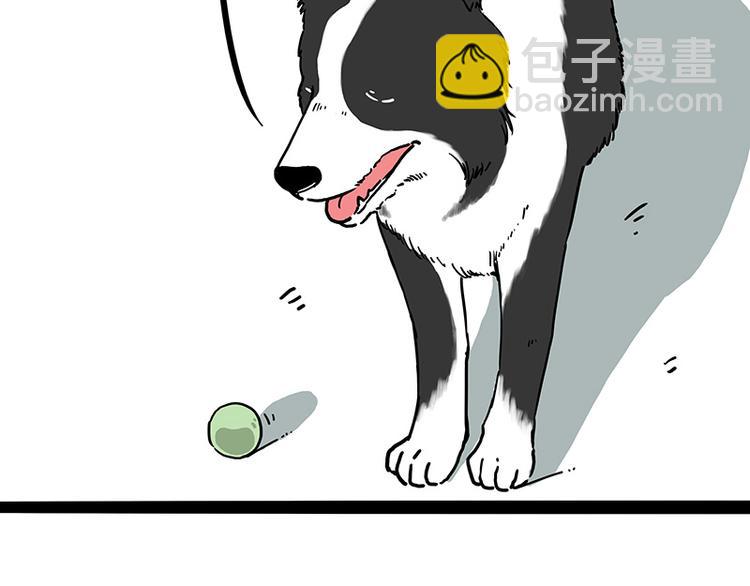 🍘吾皇巴扎黑 第207话 巴扎黑丢了？！ 第32页