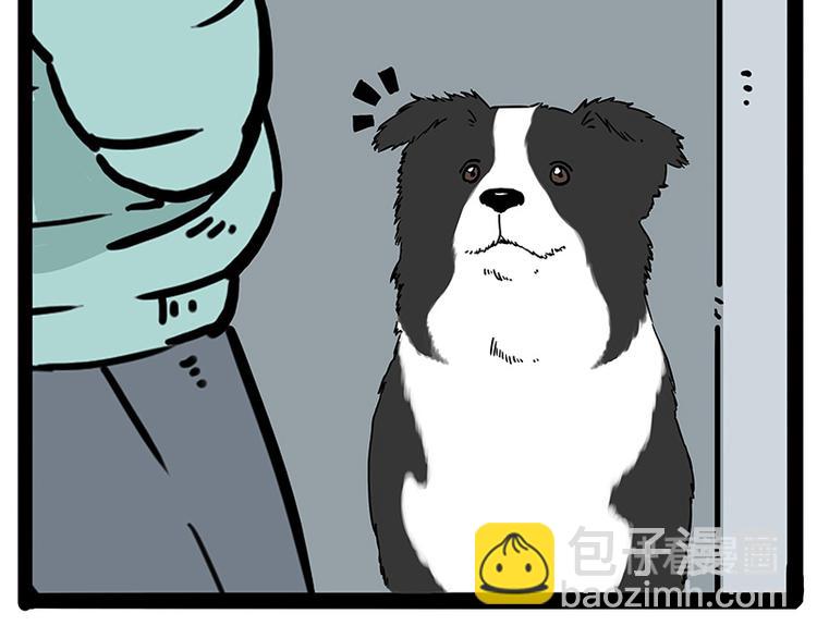 🍘吾皇巴扎黑 第207话 巴扎黑丢了？！ 第35页