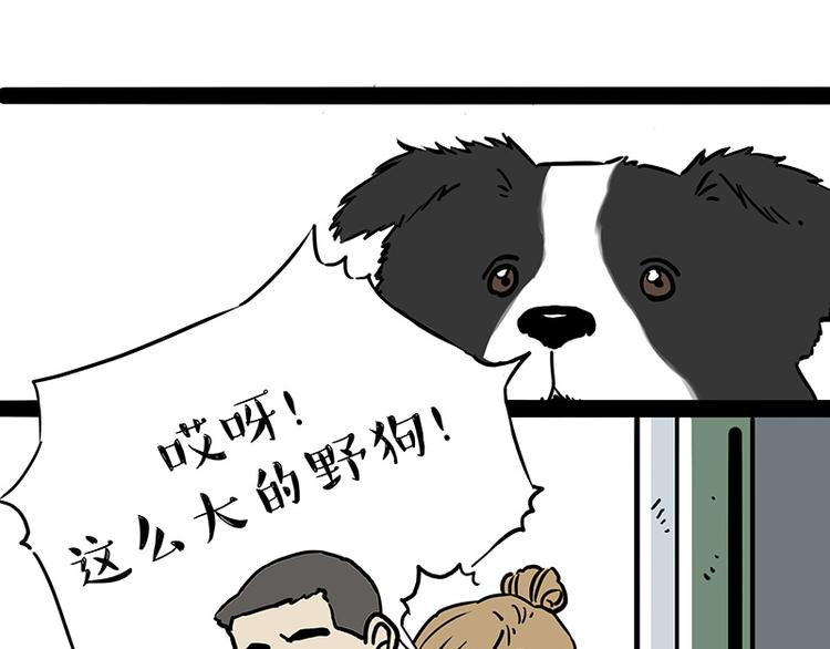 🍘吾皇巴扎黑 第207话 巴扎黑丢了？！ 第36页