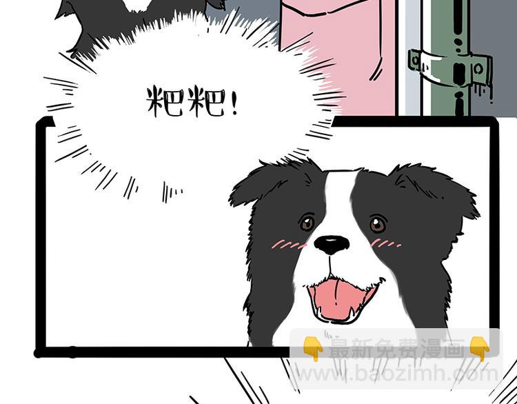 🍘吾皇巴扎黑 第207话 巴扎黑丢了？！ 第38页