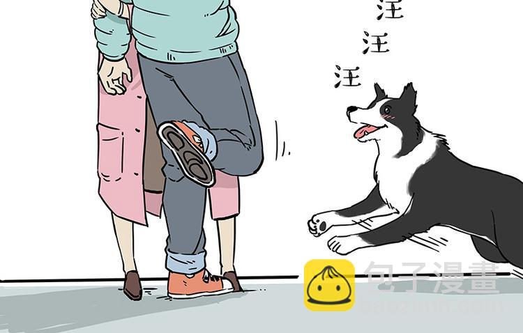 🍘吾皇巴扎黑 第207话 巴扎黑丢了？！ 第40页