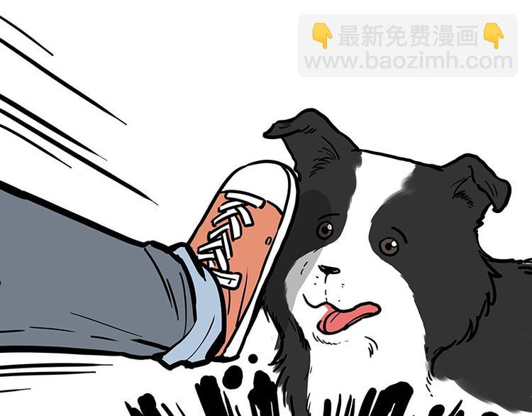 🍘吾皇巴扎黑 第207话 巴扎黑丢了？！ 第41页