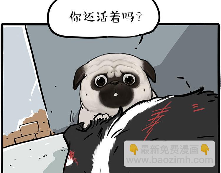 🍘吾皇巴扎黑 第207话 巴扎黑丢了？！ 第44页