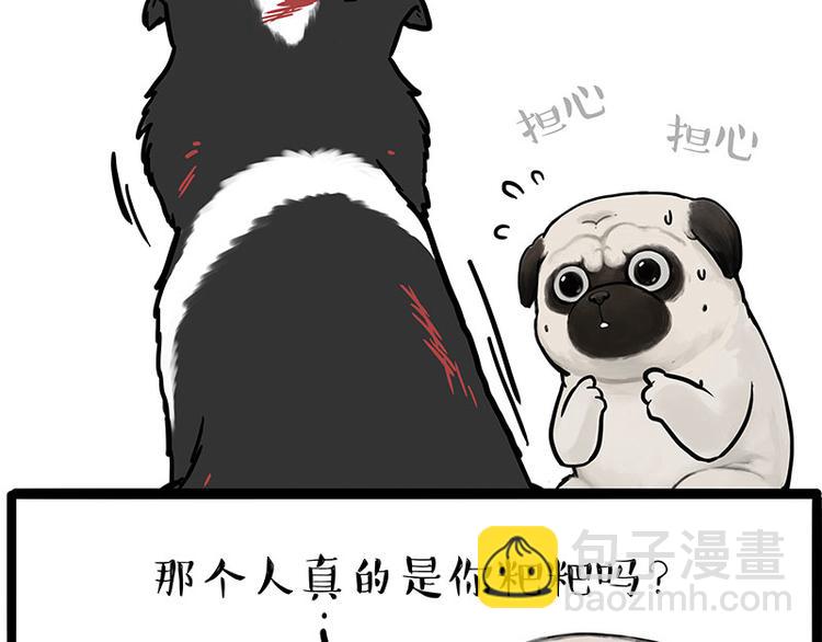 🍘吾皇巴扎黑 第207话 巴扎黑丢了？！ 第46页