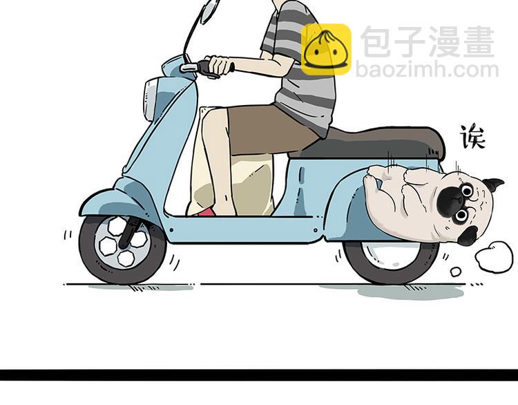 🍘吾皇巴扎黑 第207话 巴扎黑丢了？！ 第7页